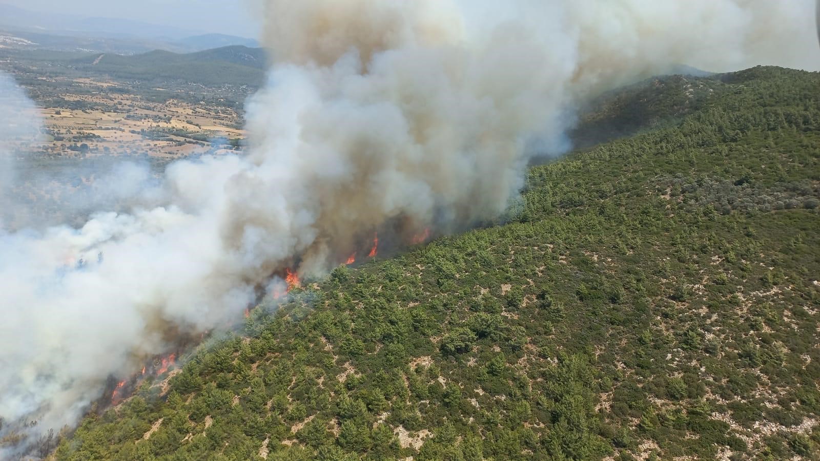 Bodrum'da Orman Yangını 3