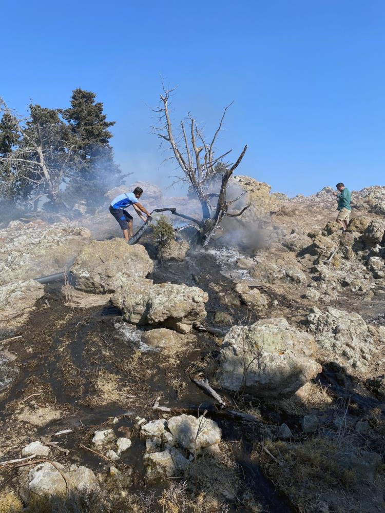 Bodrum'da yangın tehlikesi arıtılmış su ile söndürüldü