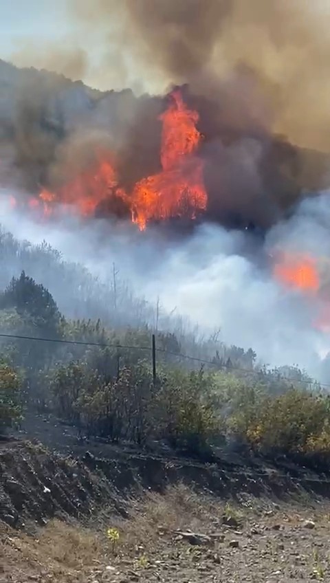 Tokat'ta çıkan orman yangını 8 hektar alanı küle çevirdi