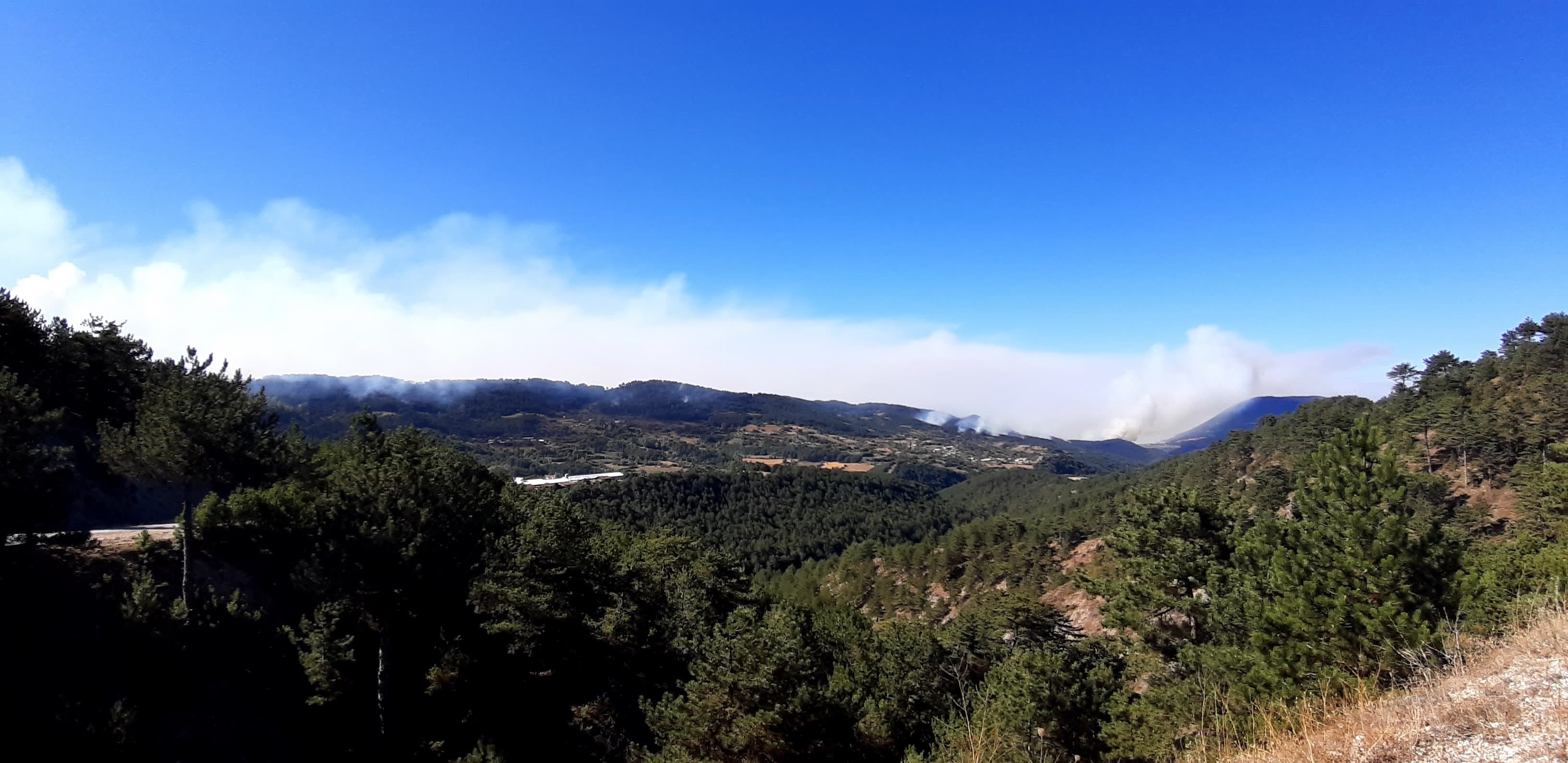 Bolu'daki orman yangını 2. gününde