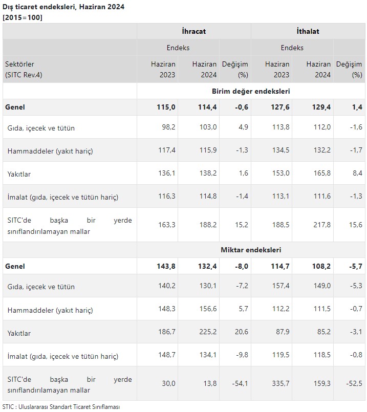 Haziran ayı dış ticaret endeksleri açıklandı