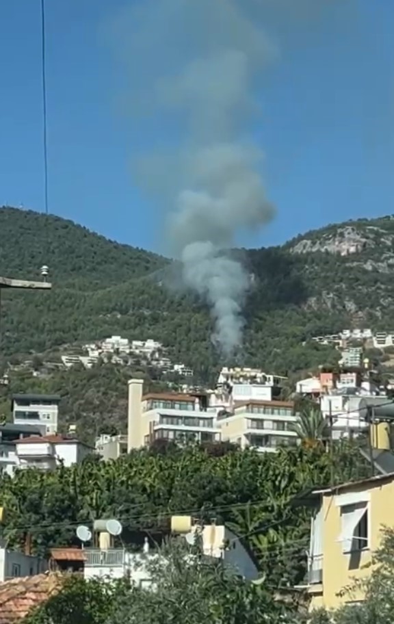 Antalya Alanya'da orman yangını