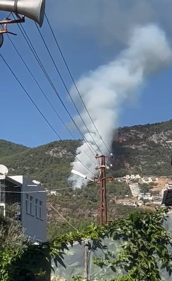 Antalya Alanya'da orman yangını