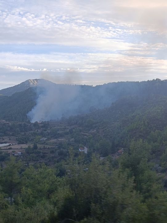 Burdur Bucak'ta Korkutan Orman Yangını 4