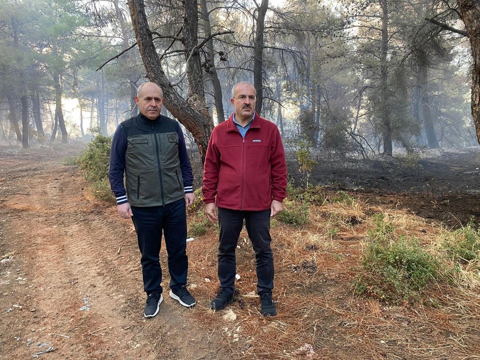 Çanakkale Lapseki Orman Yangını Söndürüldü 2