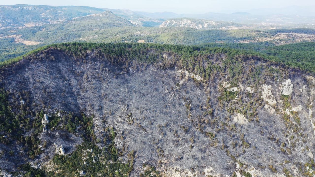 Gökova Orman Yangını 4. Günde Kontrol Altına Alındı 3