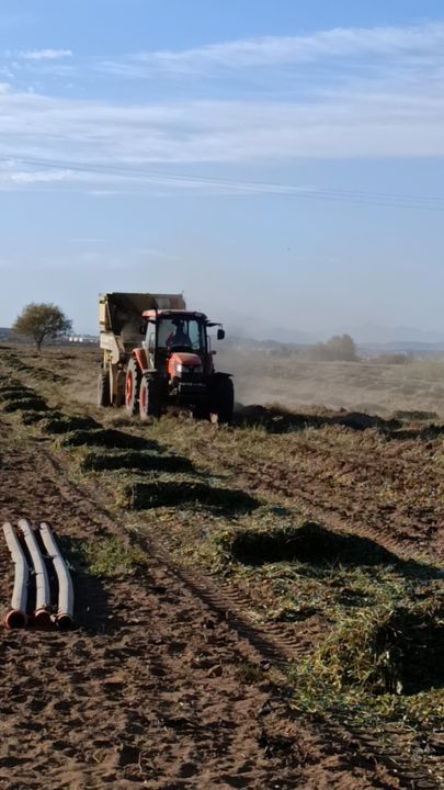 Hasat Başladı Manavgat'ta Yer Fıstığı Üreticisi Zorda  4