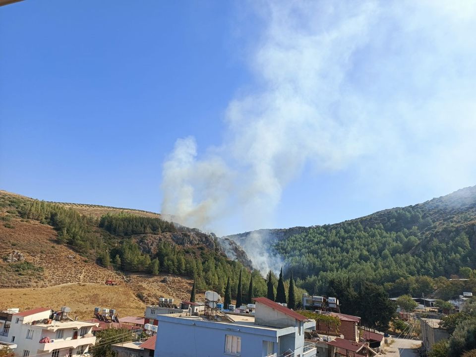 Hatay Antakya'da Orman Yangını Çıktı! 2