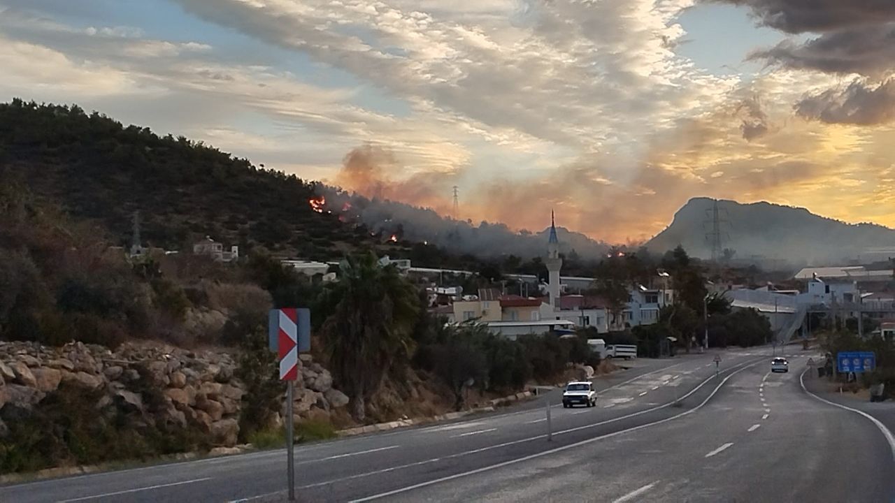 Mersin Bozyazı'da Orman Yangını Seralar Son Anda Kurtuldu 3