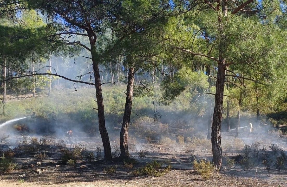 Mersin Kayacı Vadisi'nde Orman Yangını 2