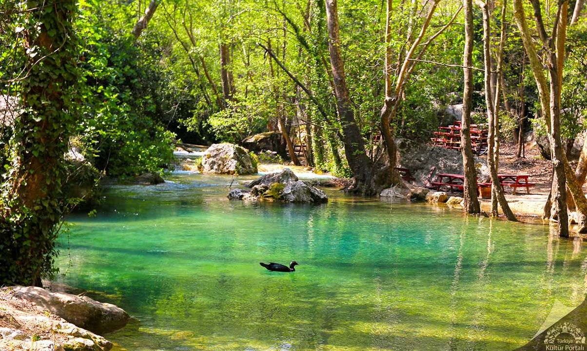 Mersin Kayacı Vadisi'nde Orman Yangını  4