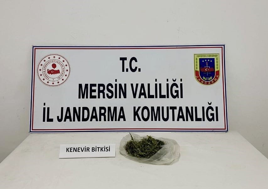 Mersin'de Sürdürülebilir Tarımla Uyuşturucu Ürettiler 4