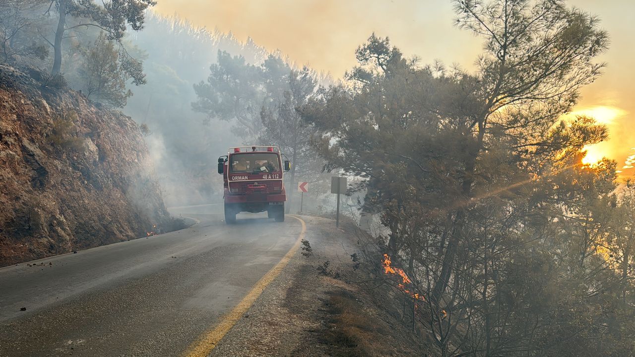 Muğla Ormanları Yanıyor! 4 Bölgede Yangın Çıktı 3