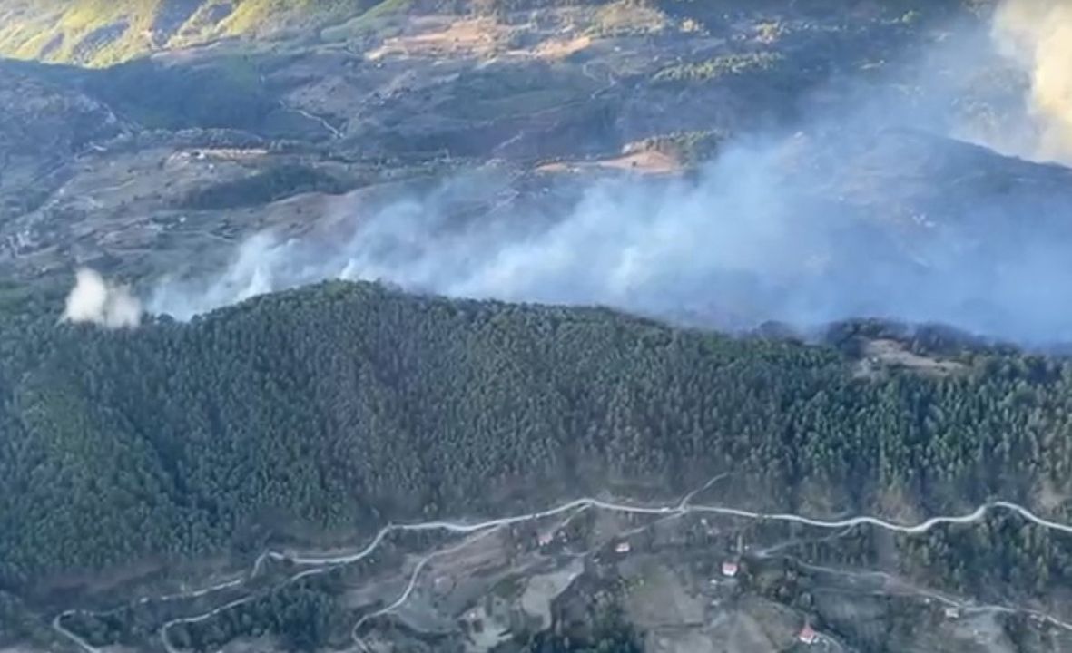 Muğla Ormanları Yanıyor! 4 Bölgede Yangın Çıktı 8