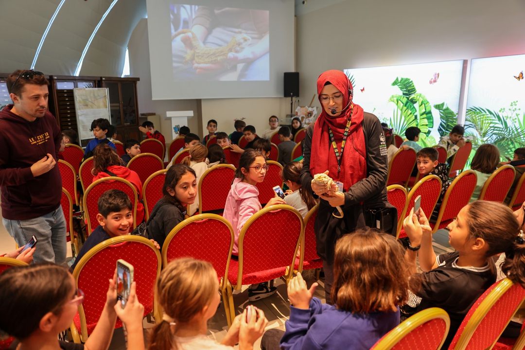 Sakallı Ejder Konya Tropikal Kelebek Bahçesi'nin Gözdesi Oldu (2)