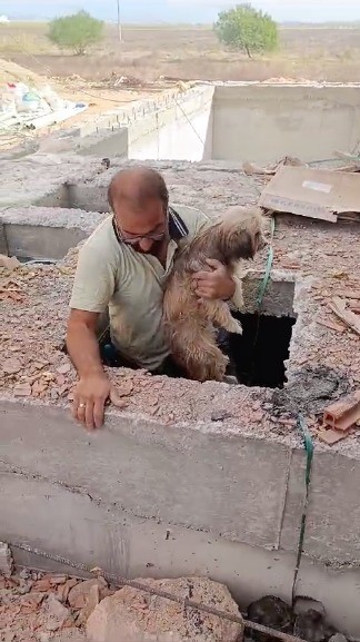 Serik'te İnşaat İşçilerinden Örnek Davranış:  Havuz Makine Dairesine Düşen Köpeği Kurtardılar