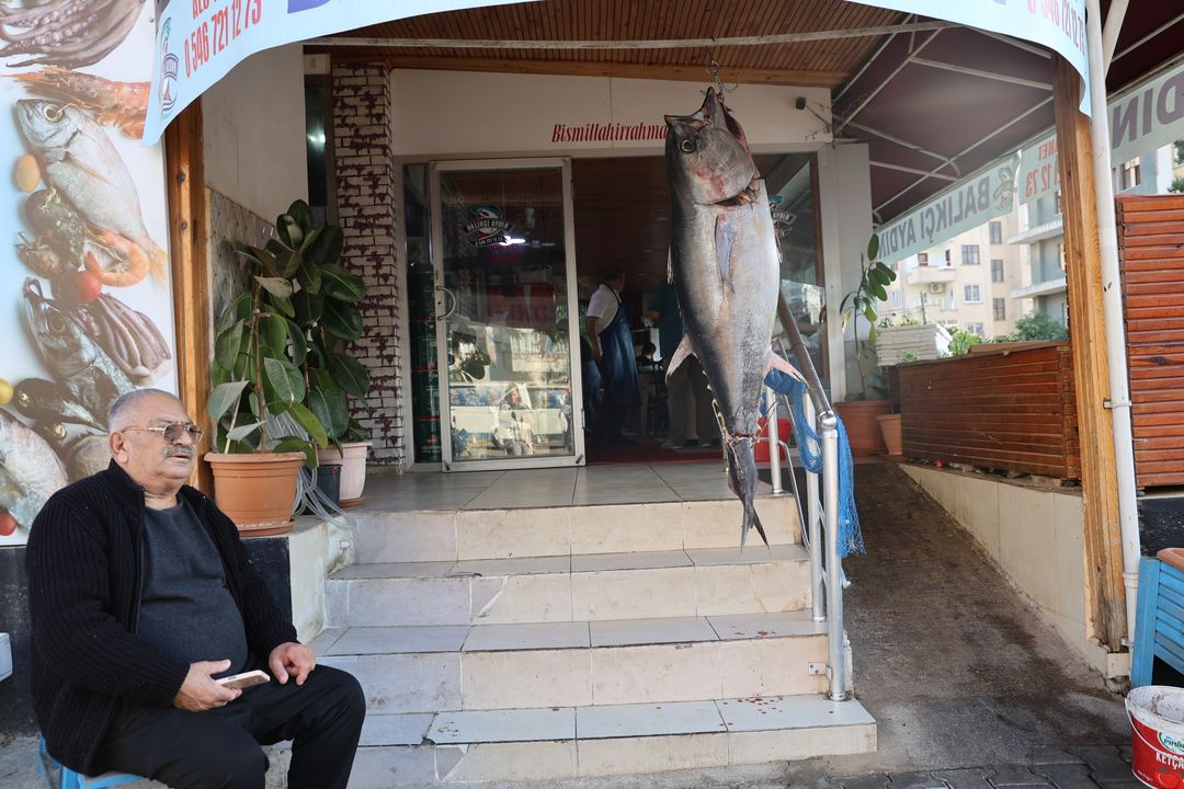 Adana'da İnsan Boyunda Orkinosu Gören Maket Sandı 4