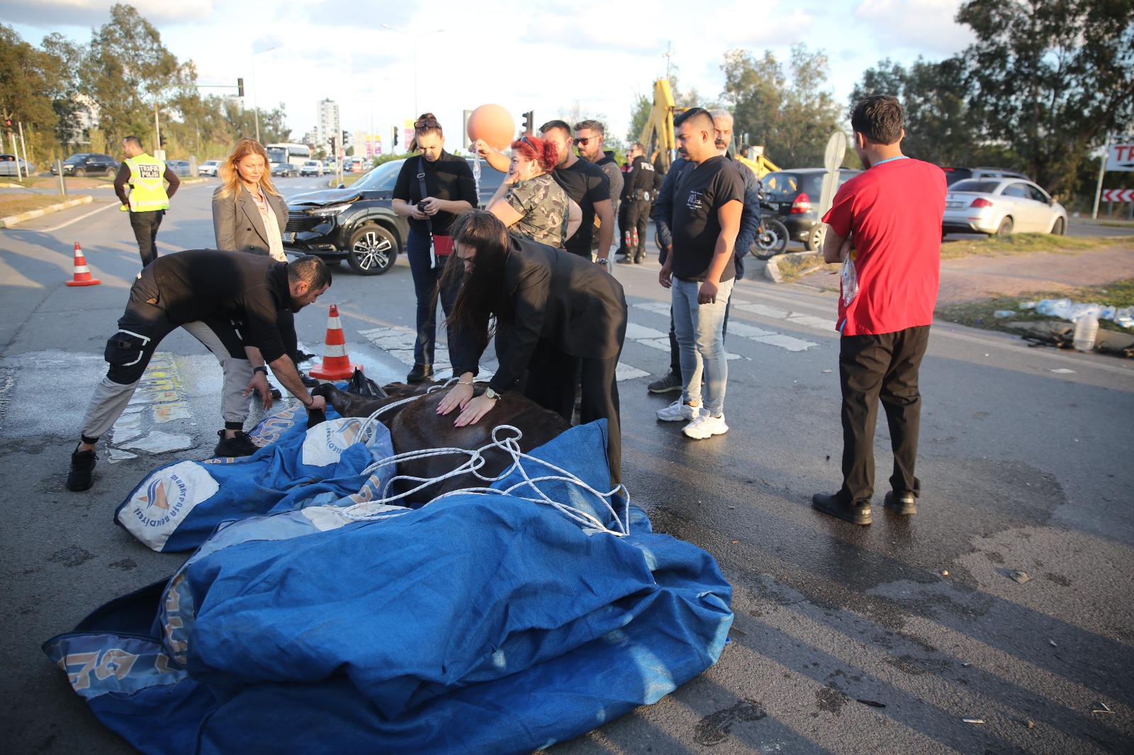 Antalya’da Cipin Çarptığı At Kurtarılamadı