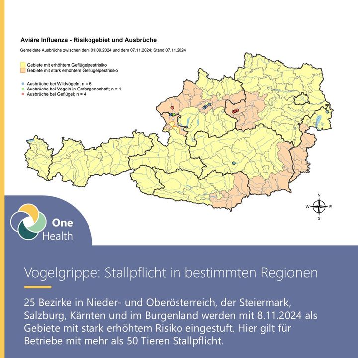 Avusturya'da Kuş Gribi Alarmı! Tüm Ülke Risk Bölgesi İlan Edildi 2 Result