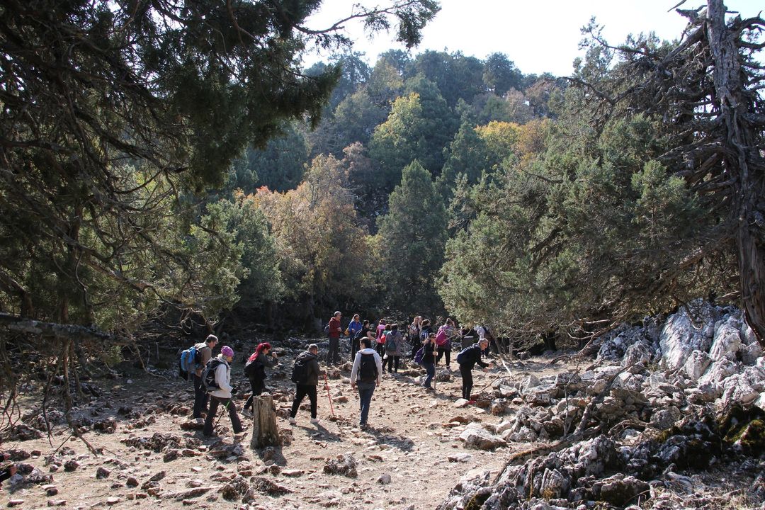 Beyşehir Gölü'ndeki Cennet Köşesi Hacıakif Adası  4