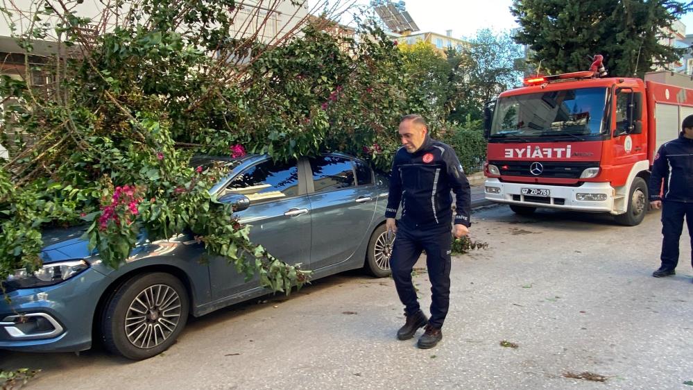 Antalya’da Fırtına Ağaçları Devirdi