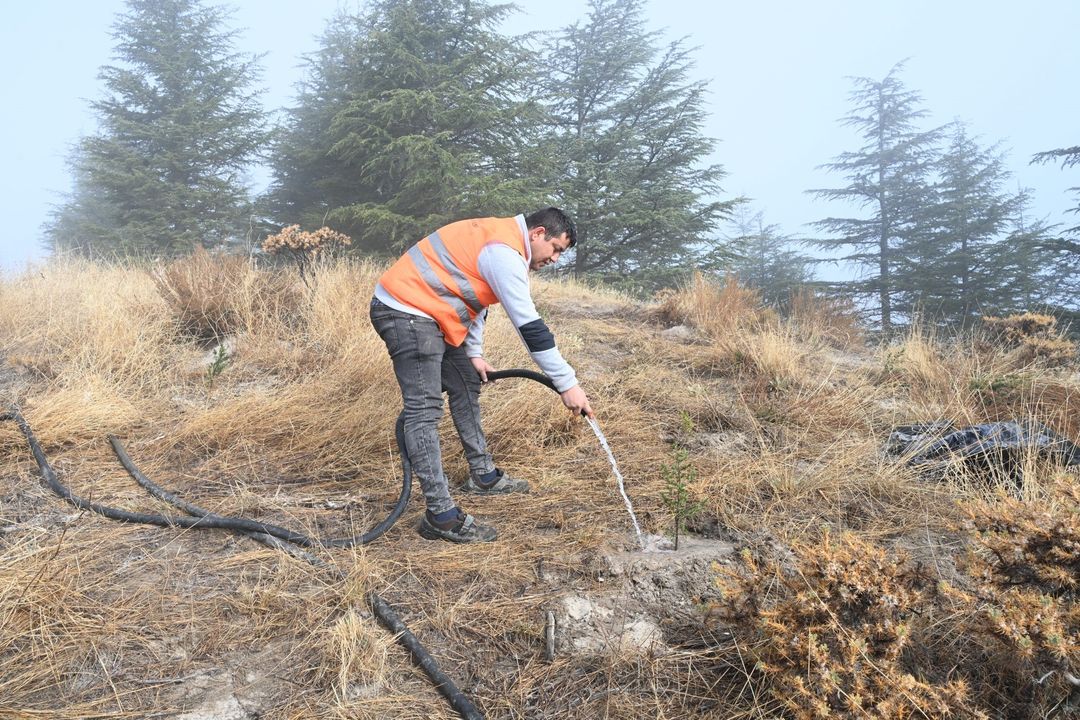 Isparta Gölcük Tabiat Parkı'na Yeni Fidanlar Dikildi 4