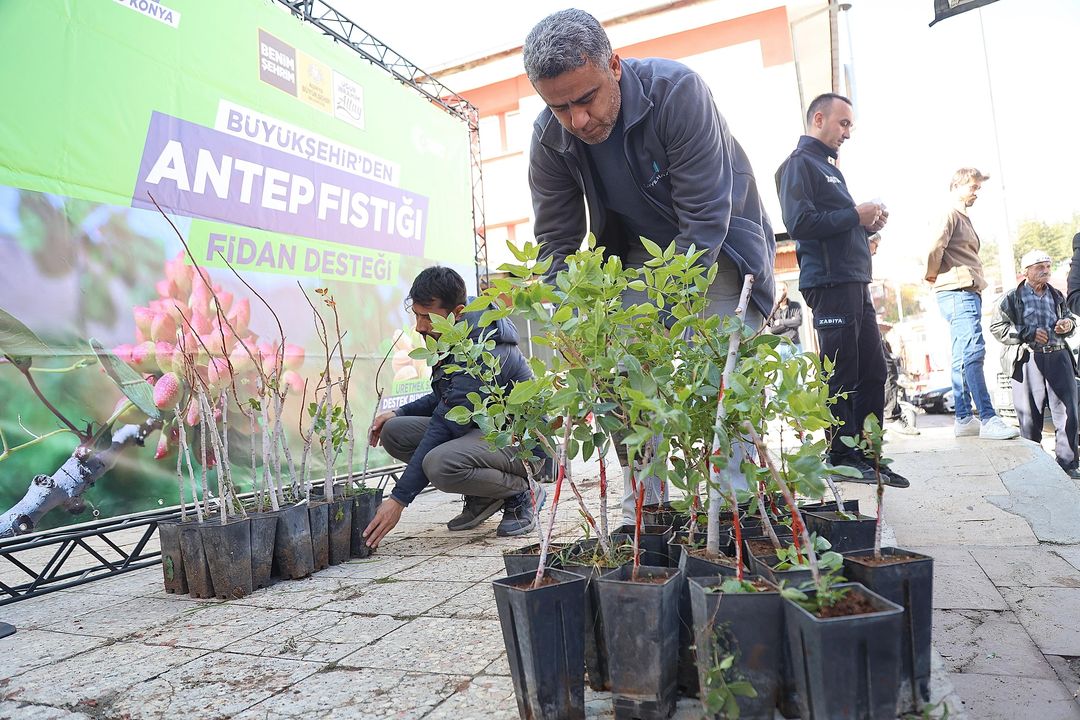 Konya'da 3 Pilot Bölgede Antep Fıstığı Fidanı Desteği 2