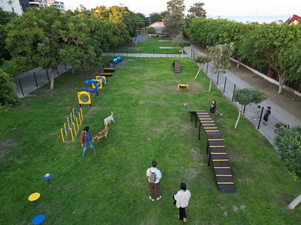 Mersin Erdemli'de Pati Park Açıldı! Kedi Park Sırada 2