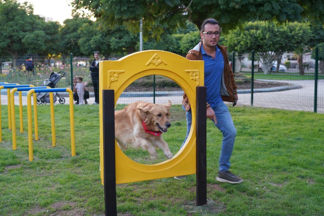 Mersin Erdemli'de Pati Park Açıldı! Kedi Park Sırada 4