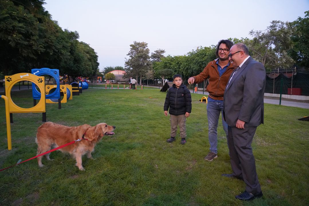 Mersin Erdemli'de Pati Park Açıldı! Kedi Park Sırada 5