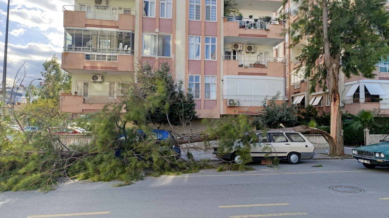 Mersindeki Fırtına Ağaçları Devirdi İş Yerlerinin Camları Kırıldı 2