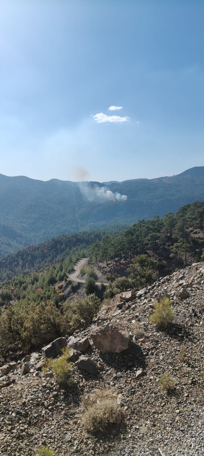 Muğla Köyceğiz'de Orman Yangını Çıktı  2