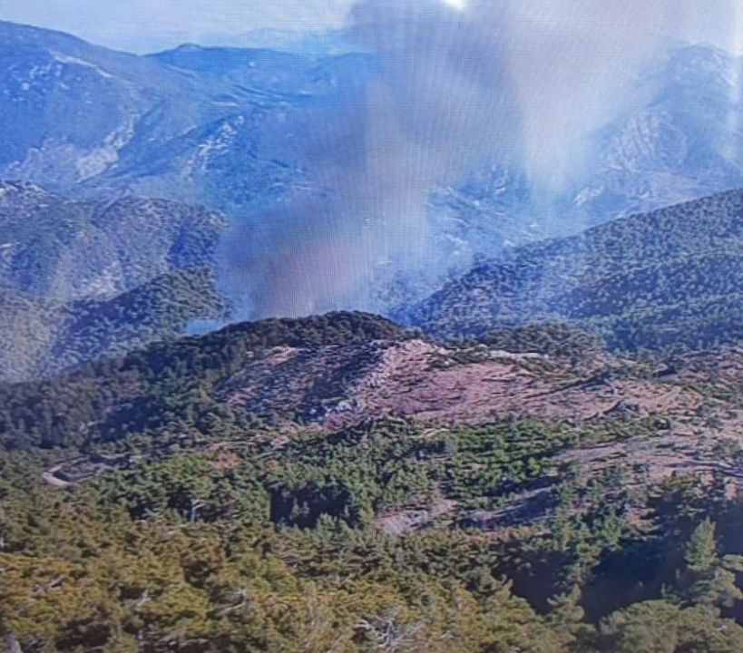 Muğla Köyceğiz'de Orman Yangını Çıktı 4