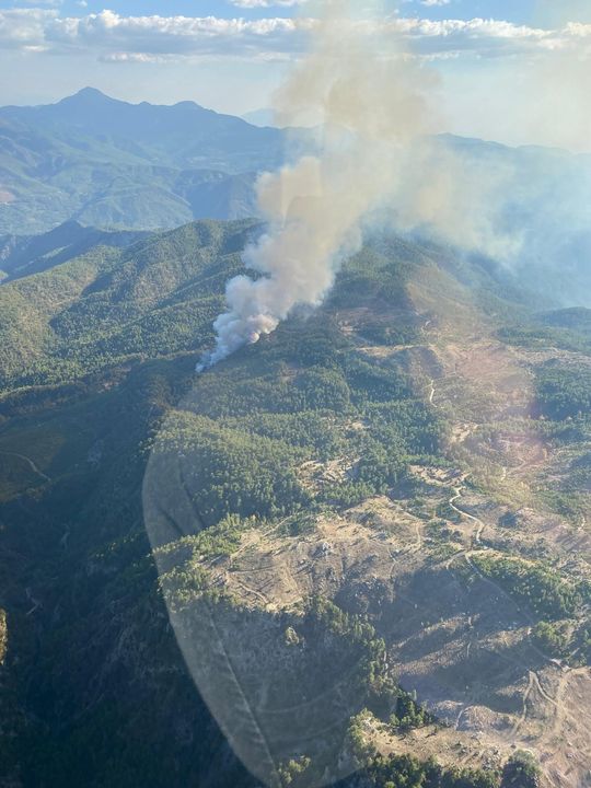 Muğla Köyceğiz'de Orman Yangını Çıktı 5