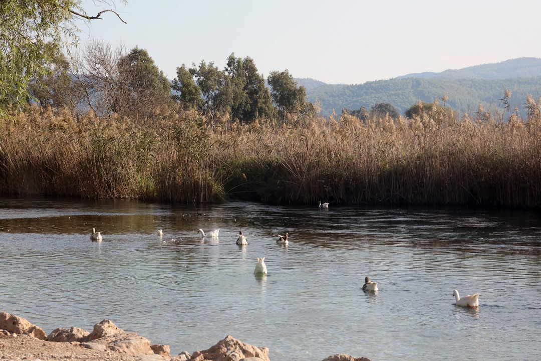 Muğla'nın Sakin Kenti Akyaka Sakin Günlerine Döndü 5