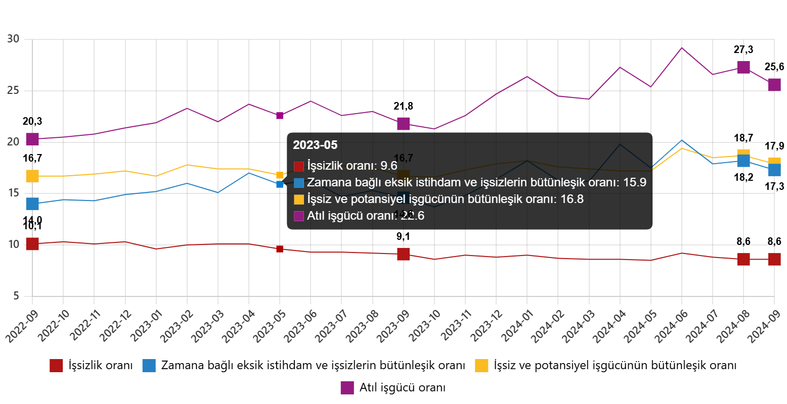 Tüi̇k Eylül 2024 İşsizlik Rakamlarını Açıkladı  5