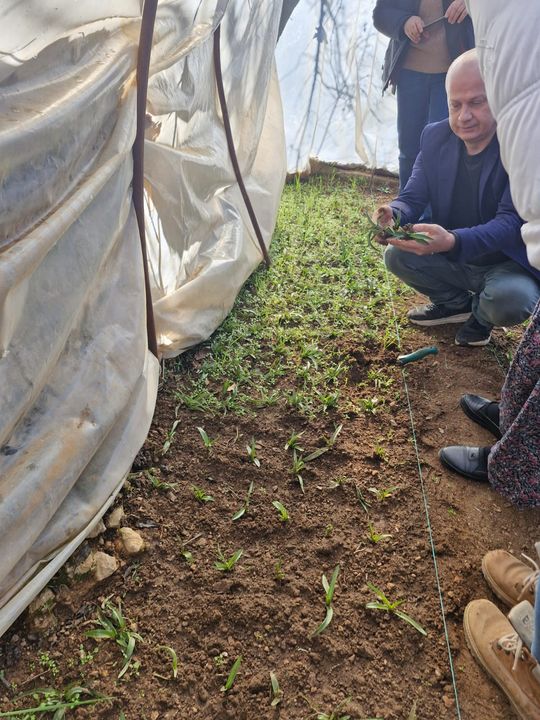 Burdur Bucakta Üreticilere 5 Bin Salep Fidanı Dağıtıldı 2