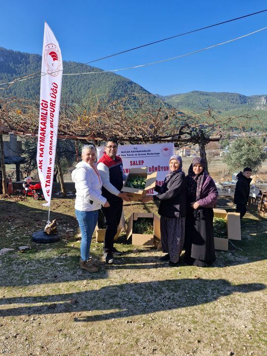 Burdur Bucakta Üreticilere 5 Bin Salep Fidanı Dağıtıldı 3