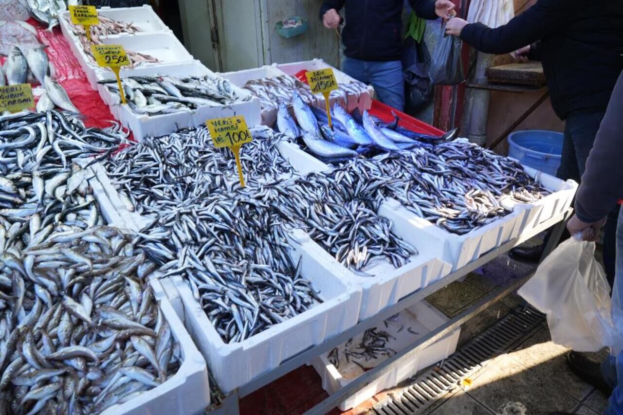 Palamut Sezonu Kapandı Hamsi Tezgahları Doldurdu 3