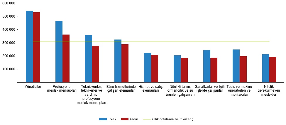 2023 Kazanç İstatistikleri Açıklandı! Kadın-Erkek Ücret Farkı Devam Ediyor