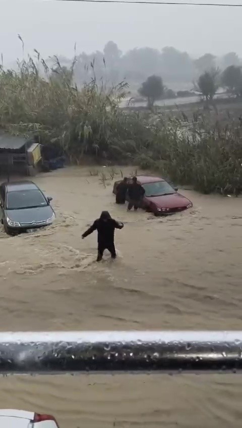 Manavgat'ta Sel Sularında Mahsur Kalan Köpek Böyle Kurtarıldı  2