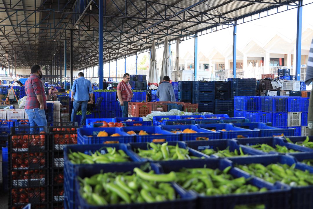 Seraları Soğuk Vurdu! Antalya'da Sebze Meyve Fiyatları İki Kat Arttı  2