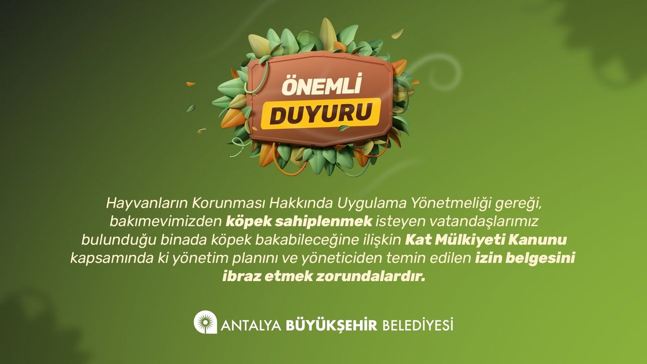 Antalya Büyükşehir'den Hayvan Sahipleneceklere Uyarı! O Belgeyi Vermeleri Şart 2