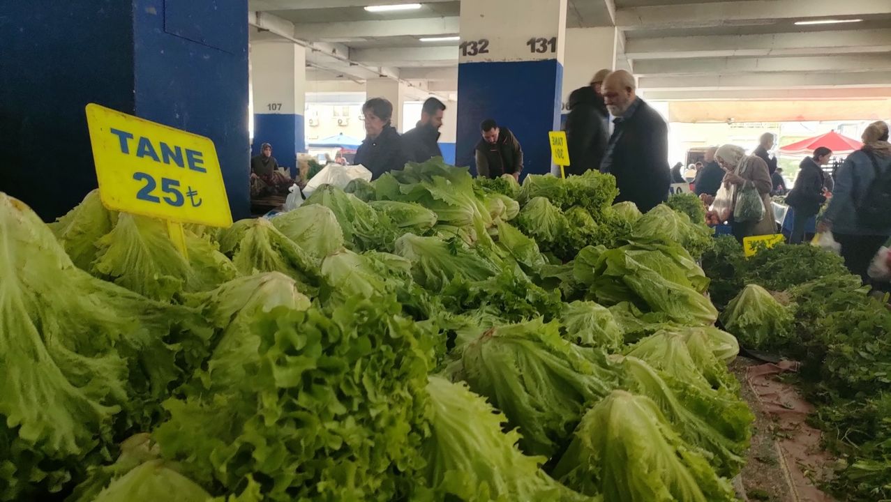 Antalya'da Sebze Meyve Fiyatları Yüzde 20 Düştü 3 2