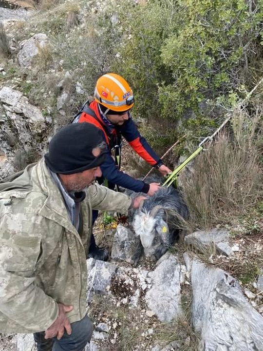 Burdur'da Keçi Dağlık Alanda Mahsur Kaldı! 3