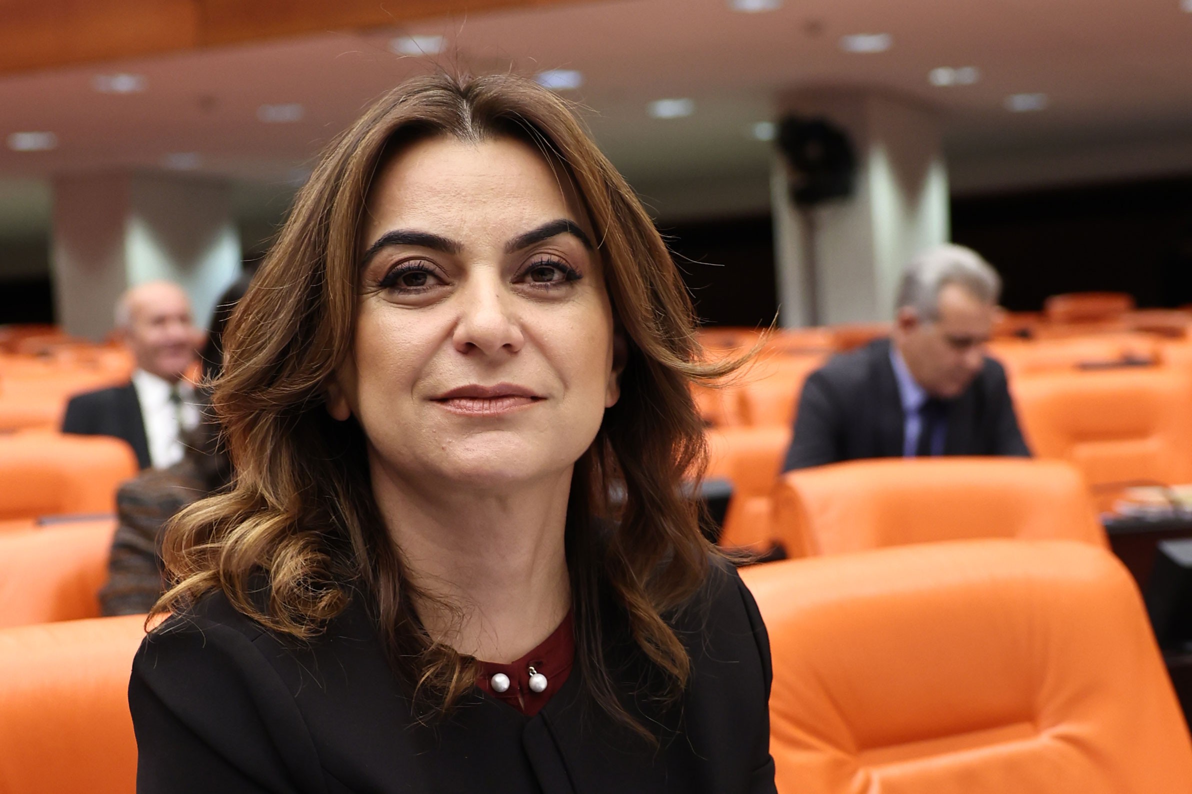 DEM Parti'den İmralı Açıklaması: "Tarihsel Fırsat İçin Öcalan'ın Tecriti Kaldırılmalı"