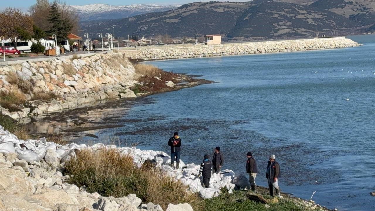 Eğirdir Gölü'nde Alg Patlaması! 600 Çuval Yosun Toplandı  2