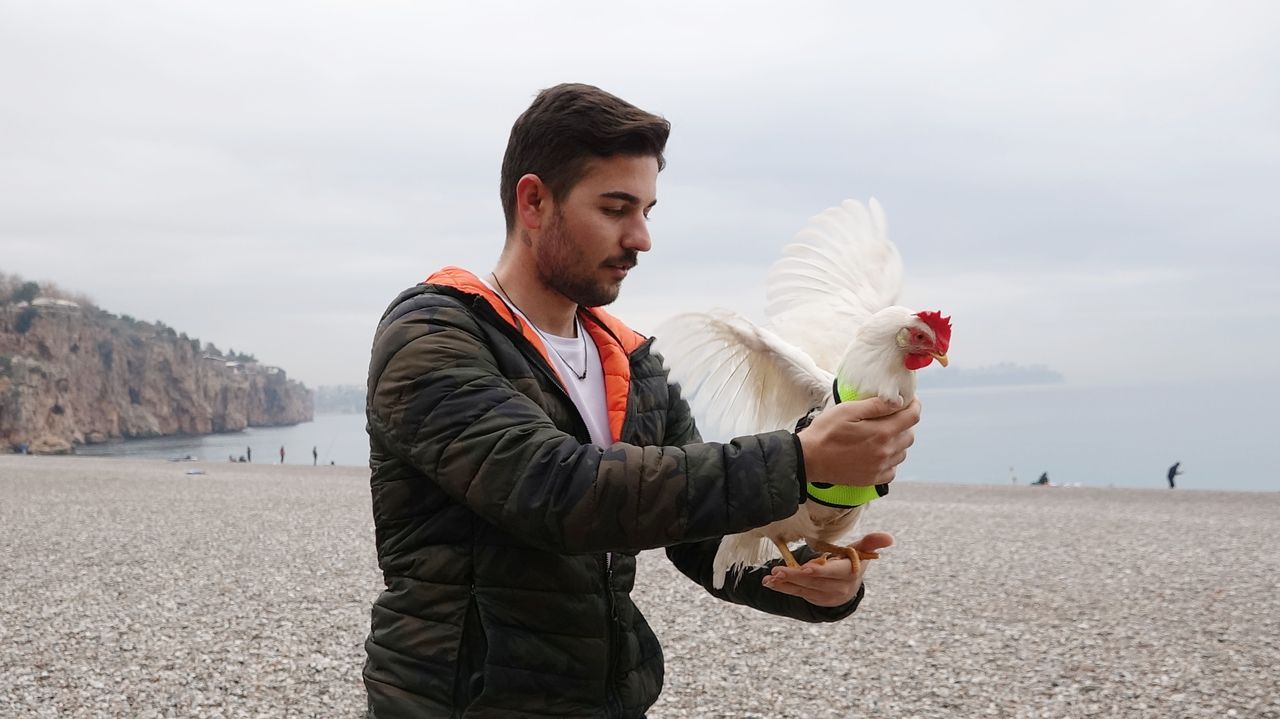 Falezler'de Sup Board Yaparken Denizde Bulduğu Tavuğu Sahiplendi  4