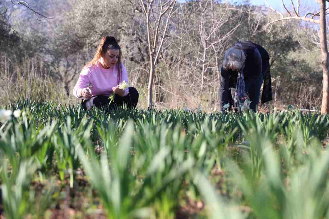 Kadın Üreticilere Mis Kokulu Destekler (1) Min