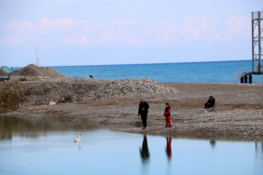 Kemer Ağva Deresi'nde Flamingo Görüntülendi 4